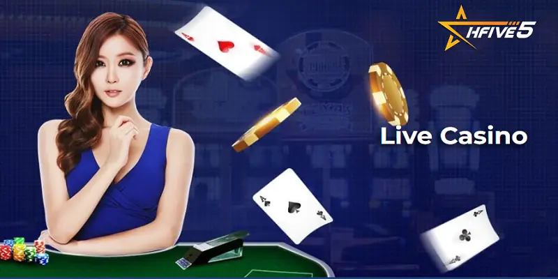 Live Casino SHBET80 | Nơi Mỗi Ván Bài Là Một Cuộc Đối Đầu Đỉnh Cao