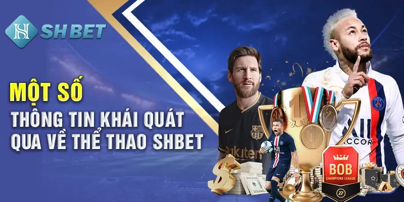 Giới thiệu tổng quan về sảnh thể thao SHBET800