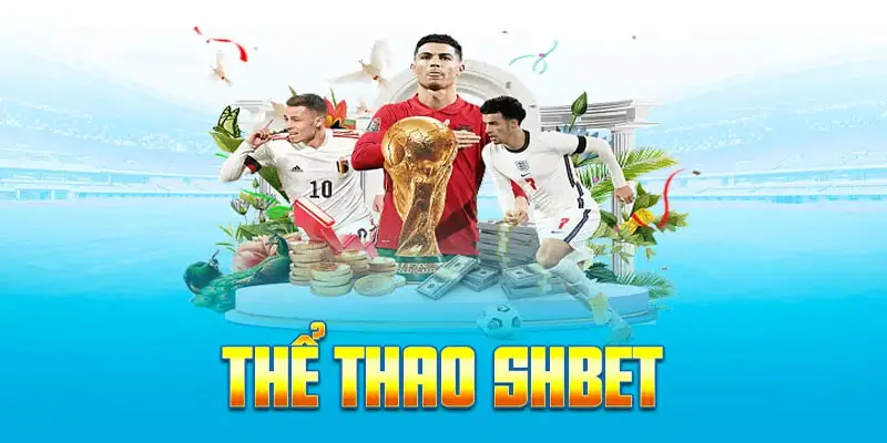 Thể Thao SHBET800 | Không Chỉ Là Cá Cược, Đây Là Cuộc Chinh Phục