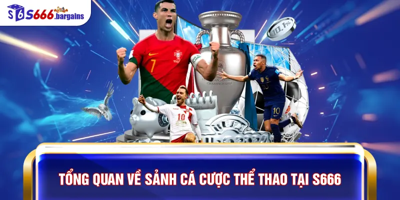 Tổng quan về sảnh cá cược thể thao tại S666